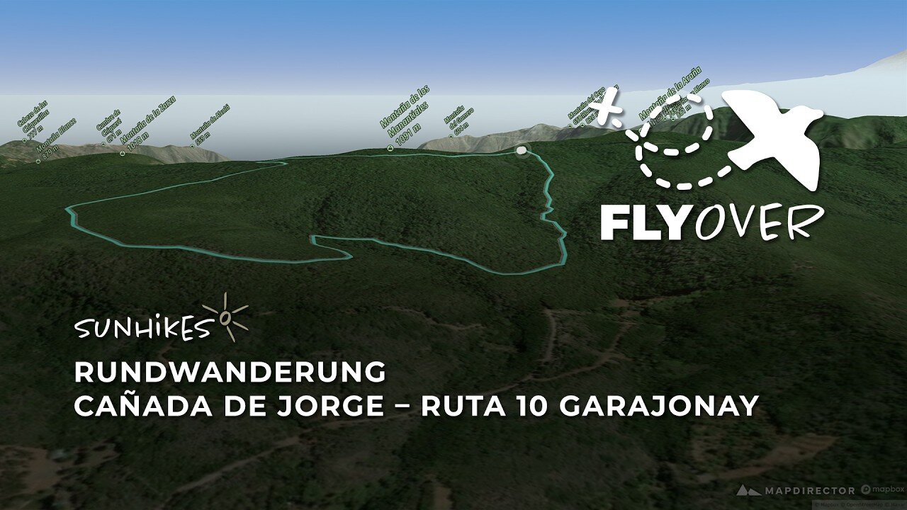 Entspannte Waldschleife: 3D-Flyover durch die Cañada de Jorge (Ruta 10 im Garajonay)