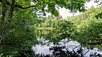 Spießweiher bei Eppenbrunn