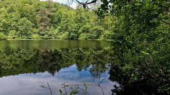 der Waldsee Spießweier bei Eppenbrunn