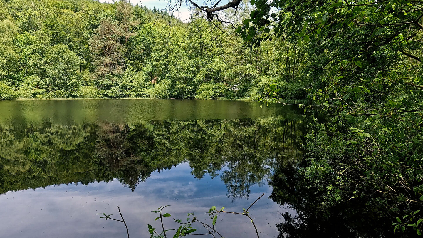 der Waldsee Spießweier bei Eppenbrunn im Pfälzerwald der Waldsee Spießweier bei Eppenbrunn