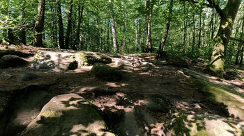Wanderweg zu den Altschlossfelsen