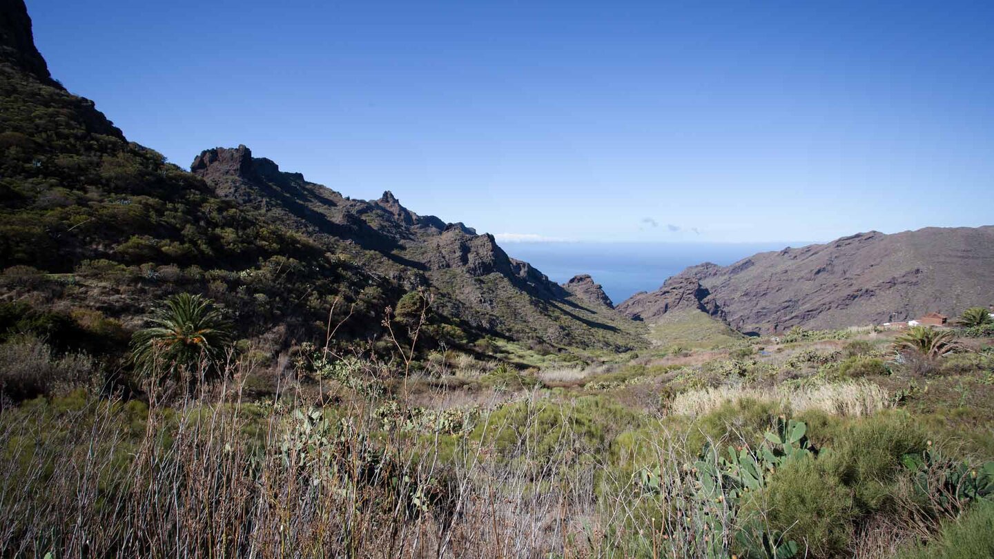 Blick von Los Carrizales am Start des Abache Steig