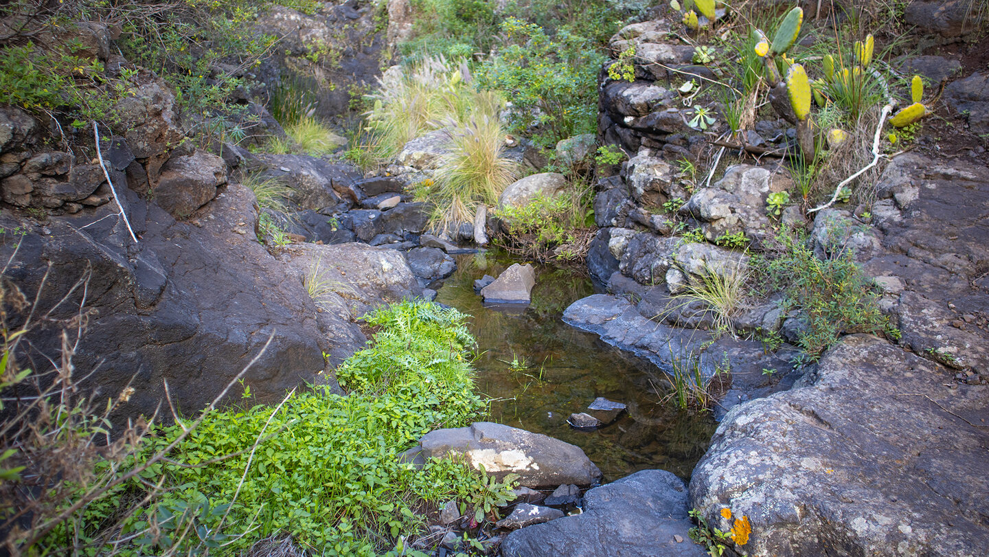 Wasserbecken am Grund der Schlucht im Valle Luis Wasserbecken in der Schlucht des Valle Luis