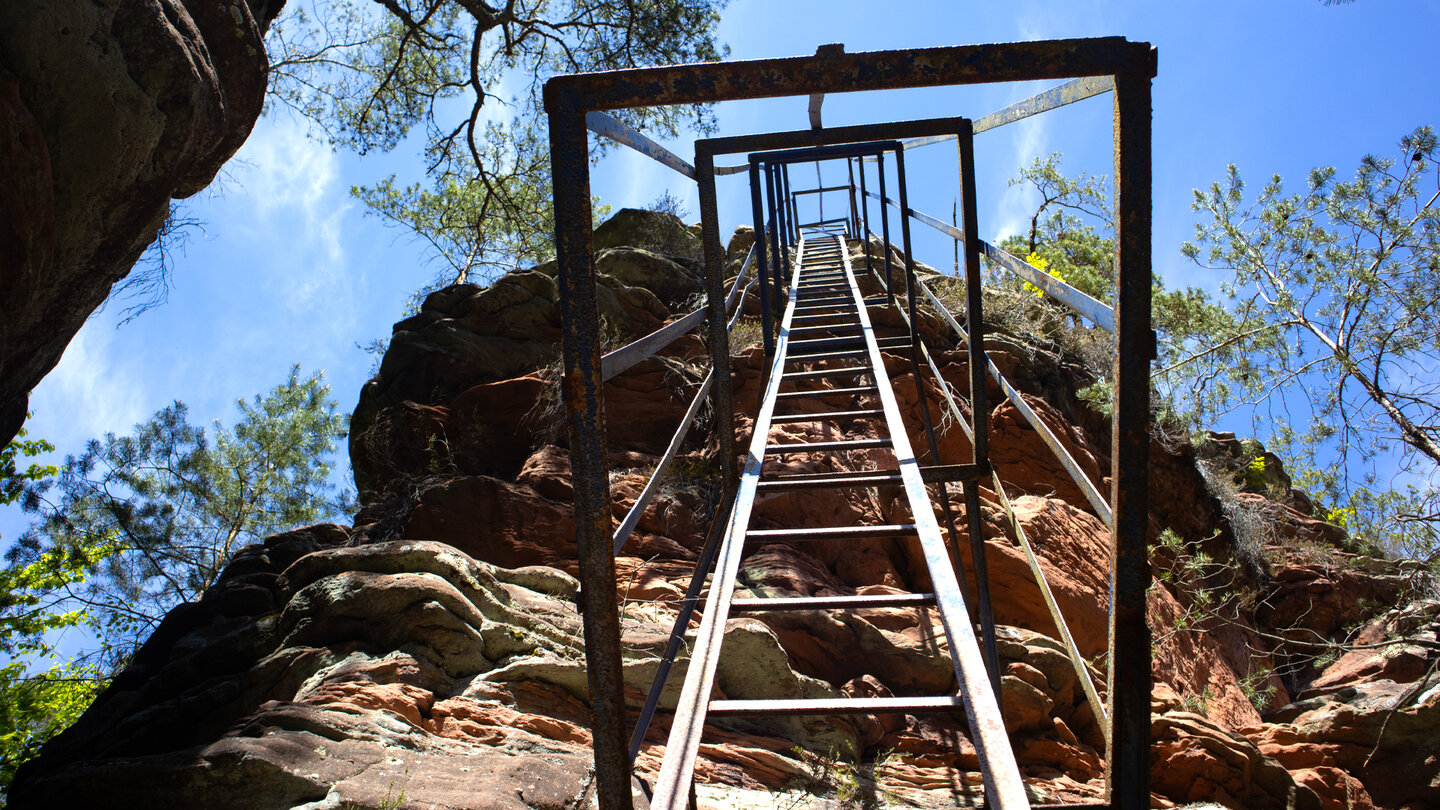 Blick durch die Leiter am Lanzenfahrter Felsen