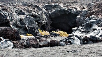 eine Vulkanhöhle an der Playa del Reisado