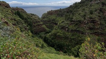 tiefe Schluchten im Osten La Palmas