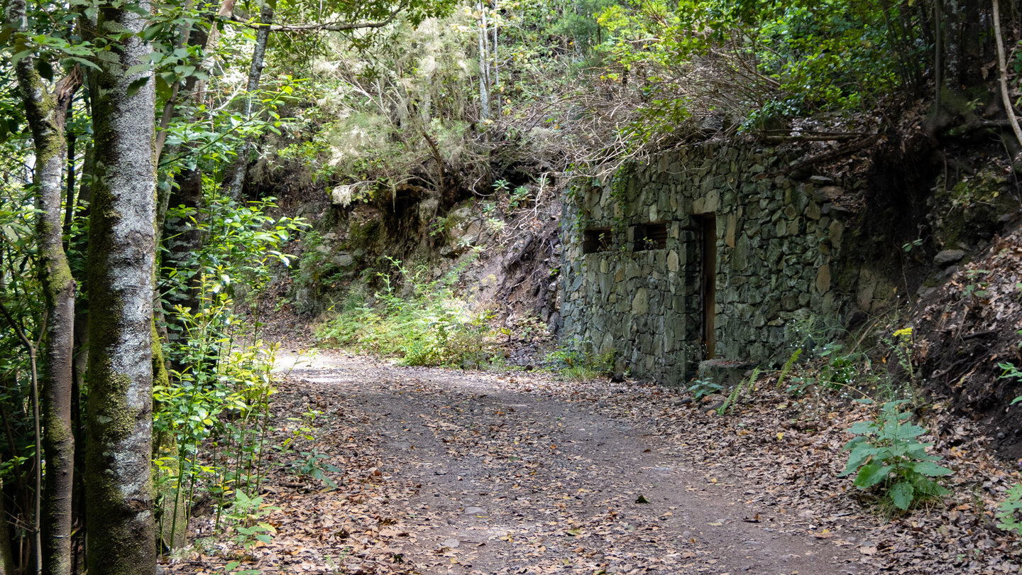 Wanderweg im Monte des Agua