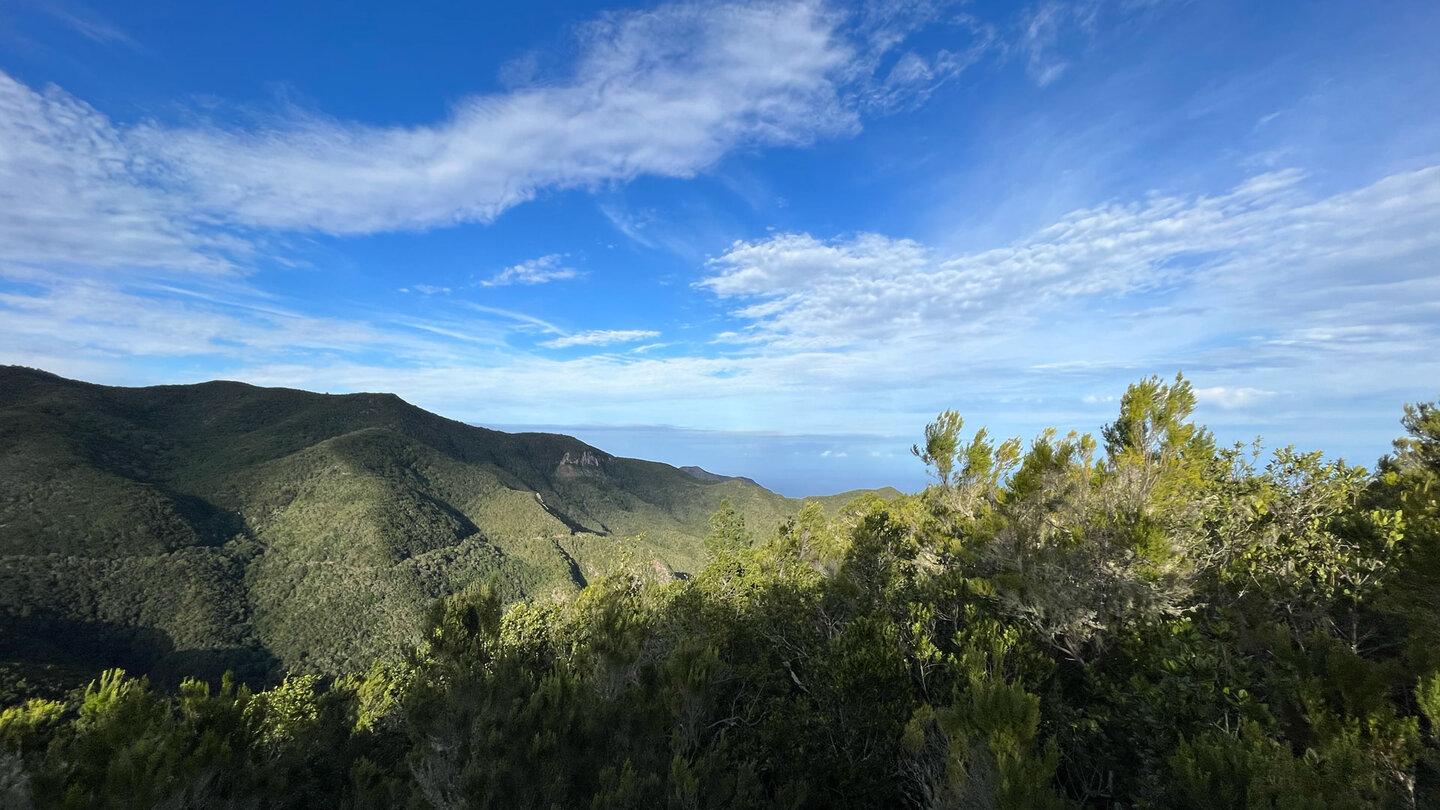 Ausblick über das mit Schluchten durchzogene Waldgebiet am Monte del Agua