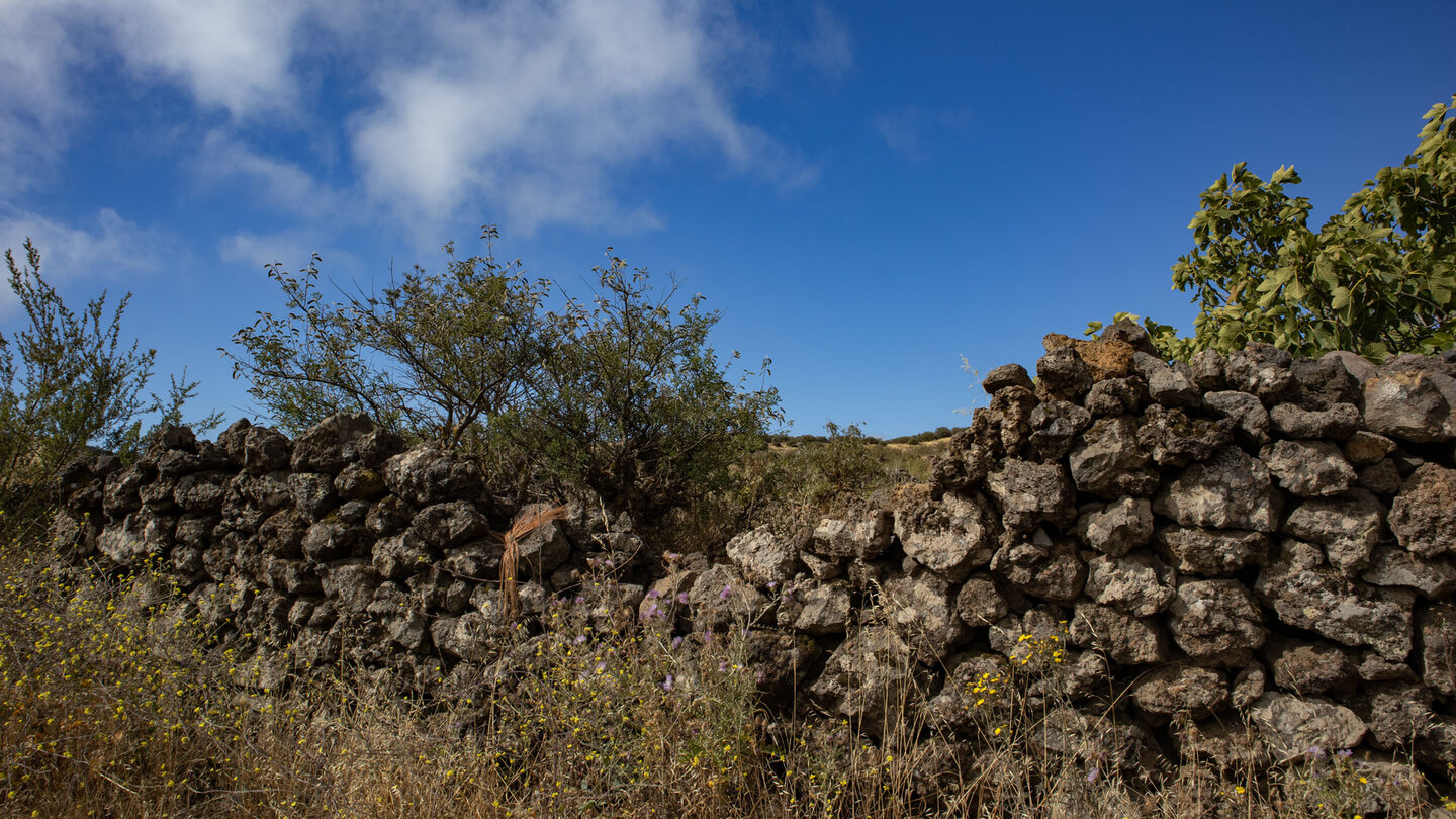 Trockenschichtmauern entlang des Wanderwegs PR-TF 51 bei Los Partidos