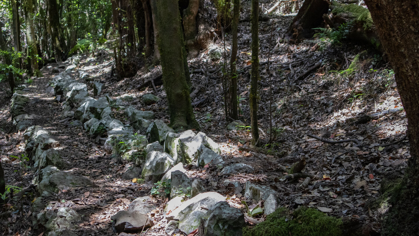 Wanderweg entlang eines in früheren Zeiten genutzten Wasserkanals