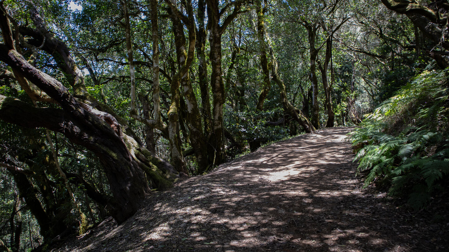 Wanderweg zum Rastplatz Las Creses