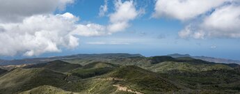 Ausblick über die Fayal-Brezal Vegetation des Garajonay Nationalparks