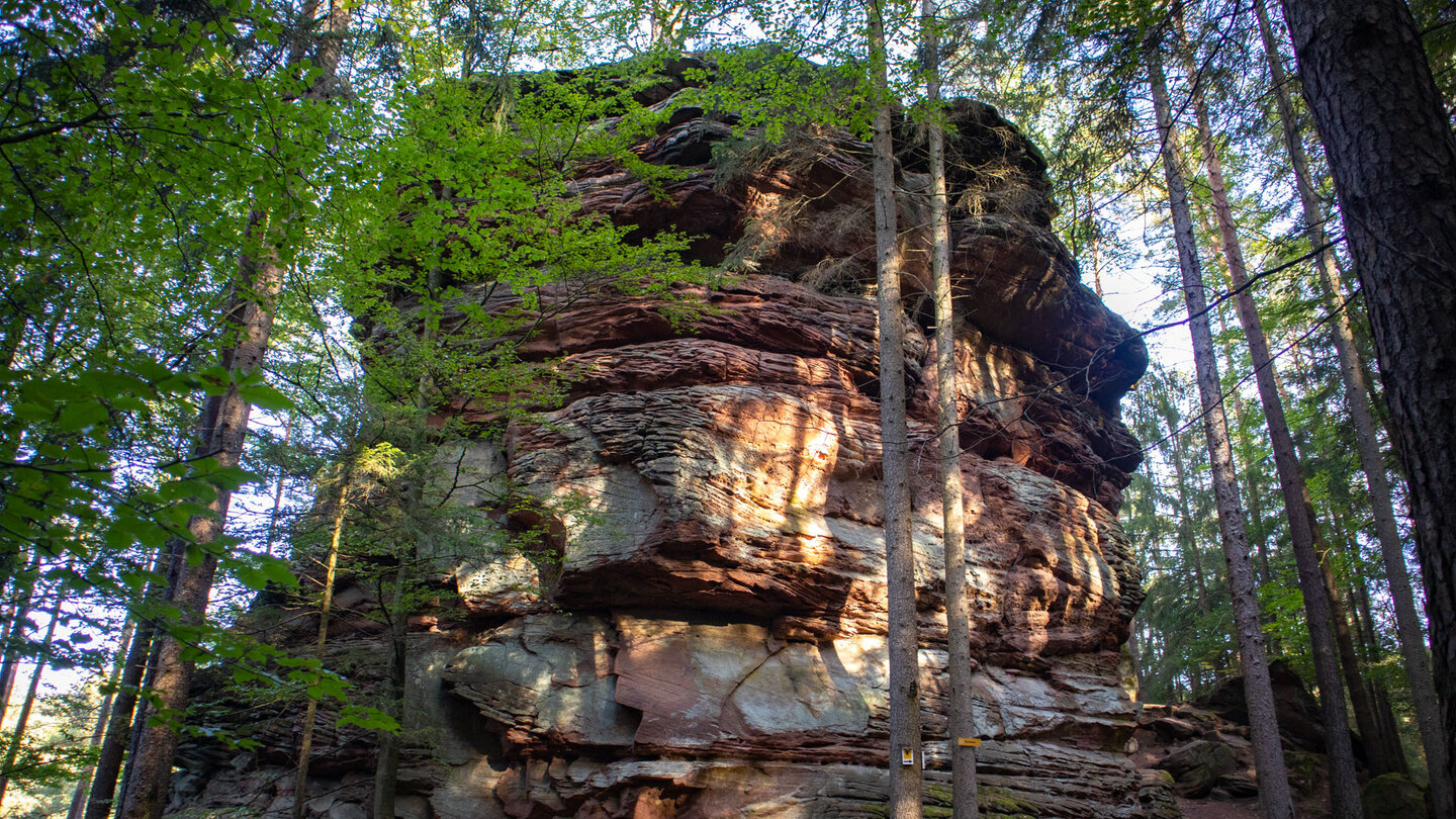 der Hirschfelsen erhebt sich monolitsch aus dem Wald