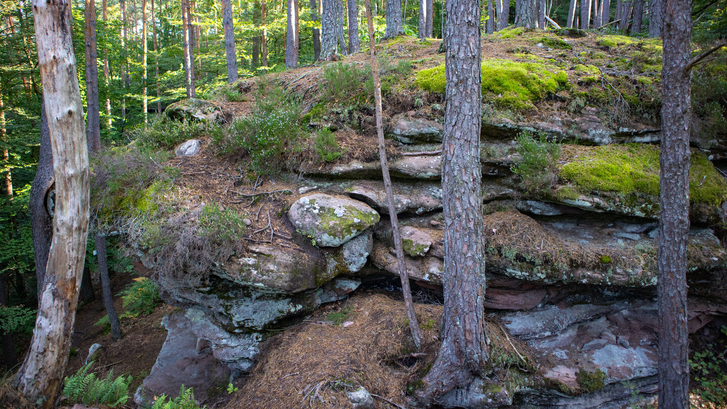 Blick über den langgezogenen Schlangenfelsen