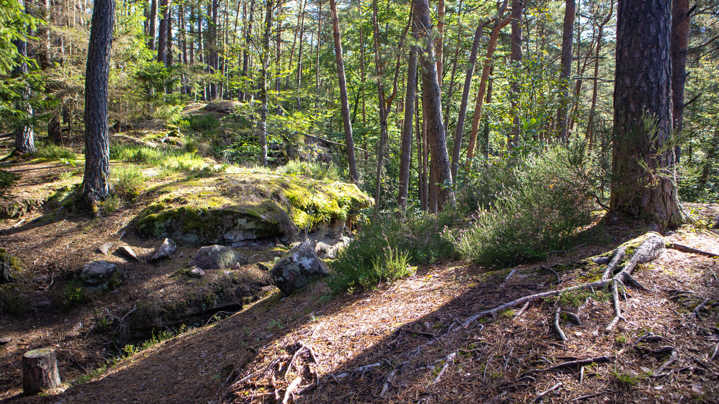 Wanderroute oberhalb des Rosskegelfelsen