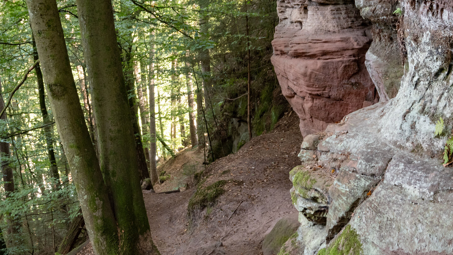 Wanderweg zum Schwalbenfelsen