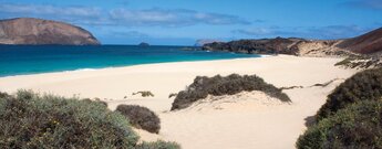 der Strand Playa de las Conchas auf La Graciosa mit seiner Dünenlandschaft