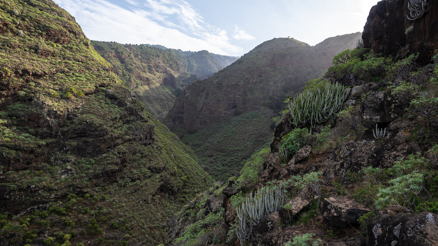 Blick in die Schlucht Barranco Franceses die Schlucht Barranco Franceses