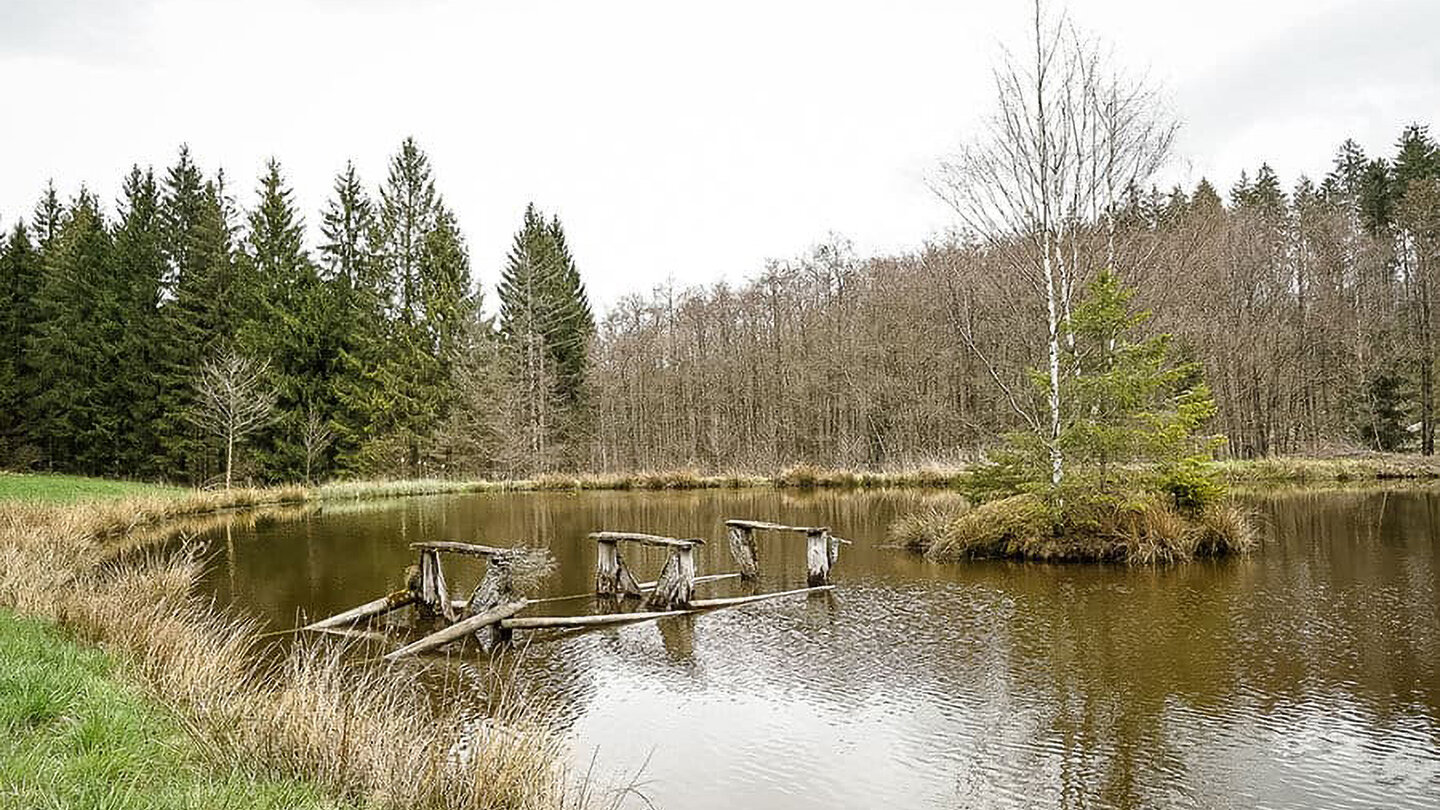 kleiner Teich mit zerfallenem Steg