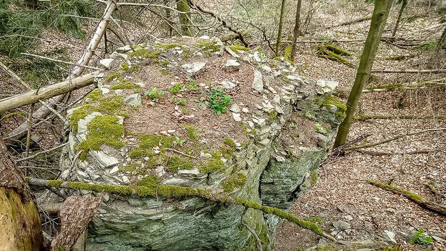Phonolithblock im Wald