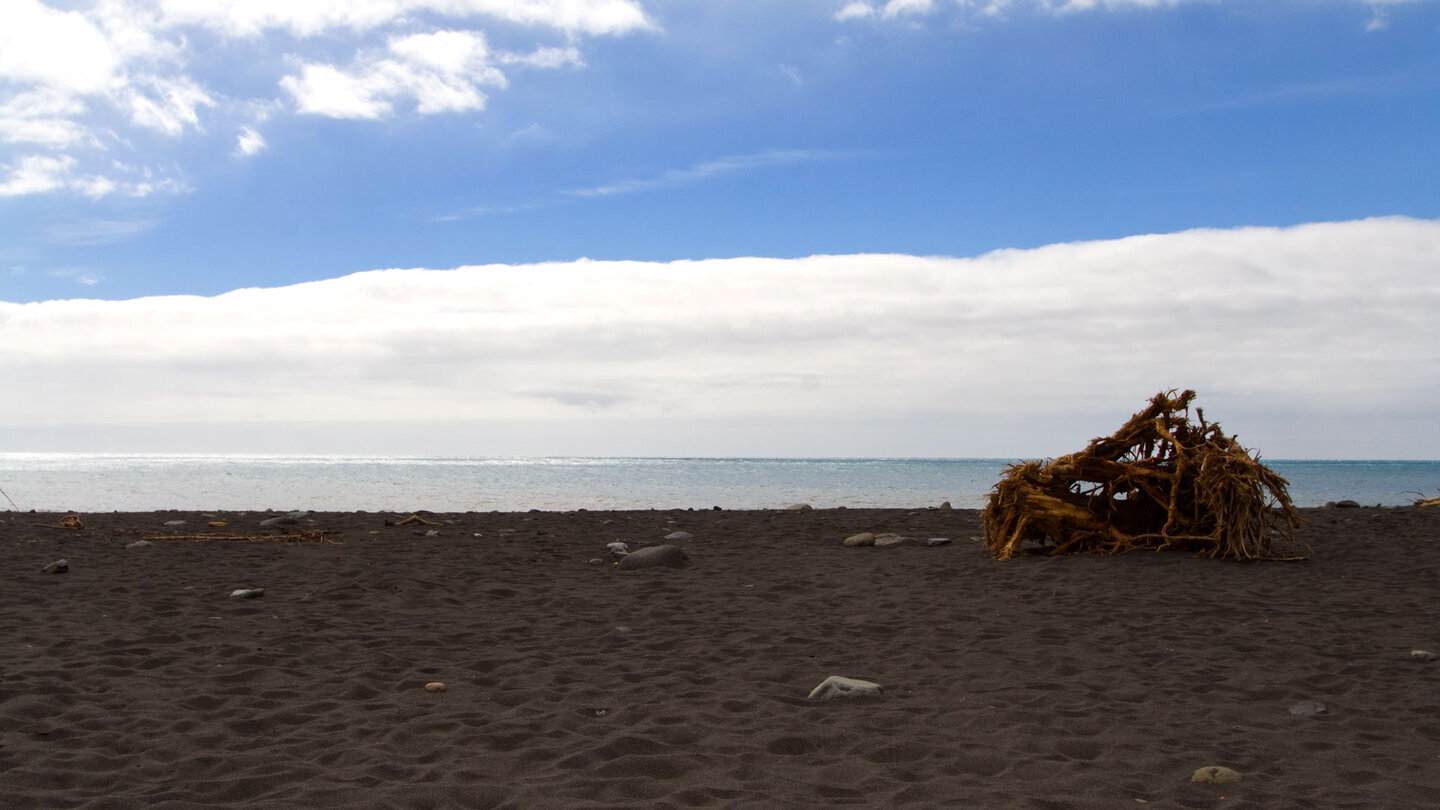 Strandgut am Playa Grande bei Puerto de Tazacorte auf La Palma Strandgut am Playa Grande bei Puerto de Tazacorte