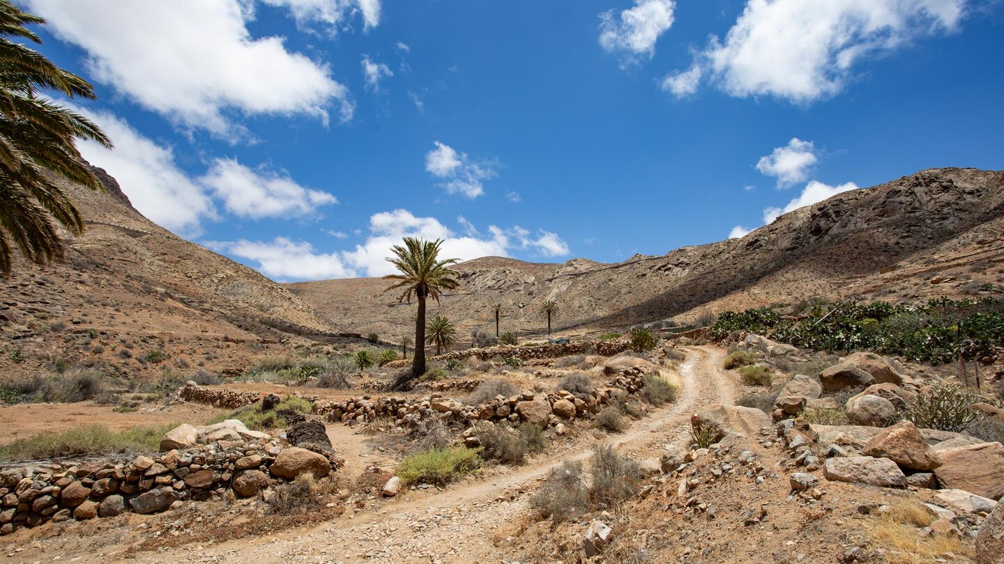 Wanderweg entlang des GR 131 im Barranco Valle del Granadillo