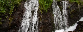 Wasserläufe an den Marcos y Cordero Quellen