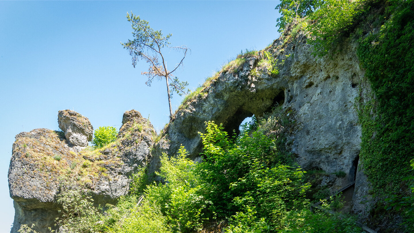 Felsformationen entlang des Promenadenwegs erzählen von Jahrmillionen im Jurakalk