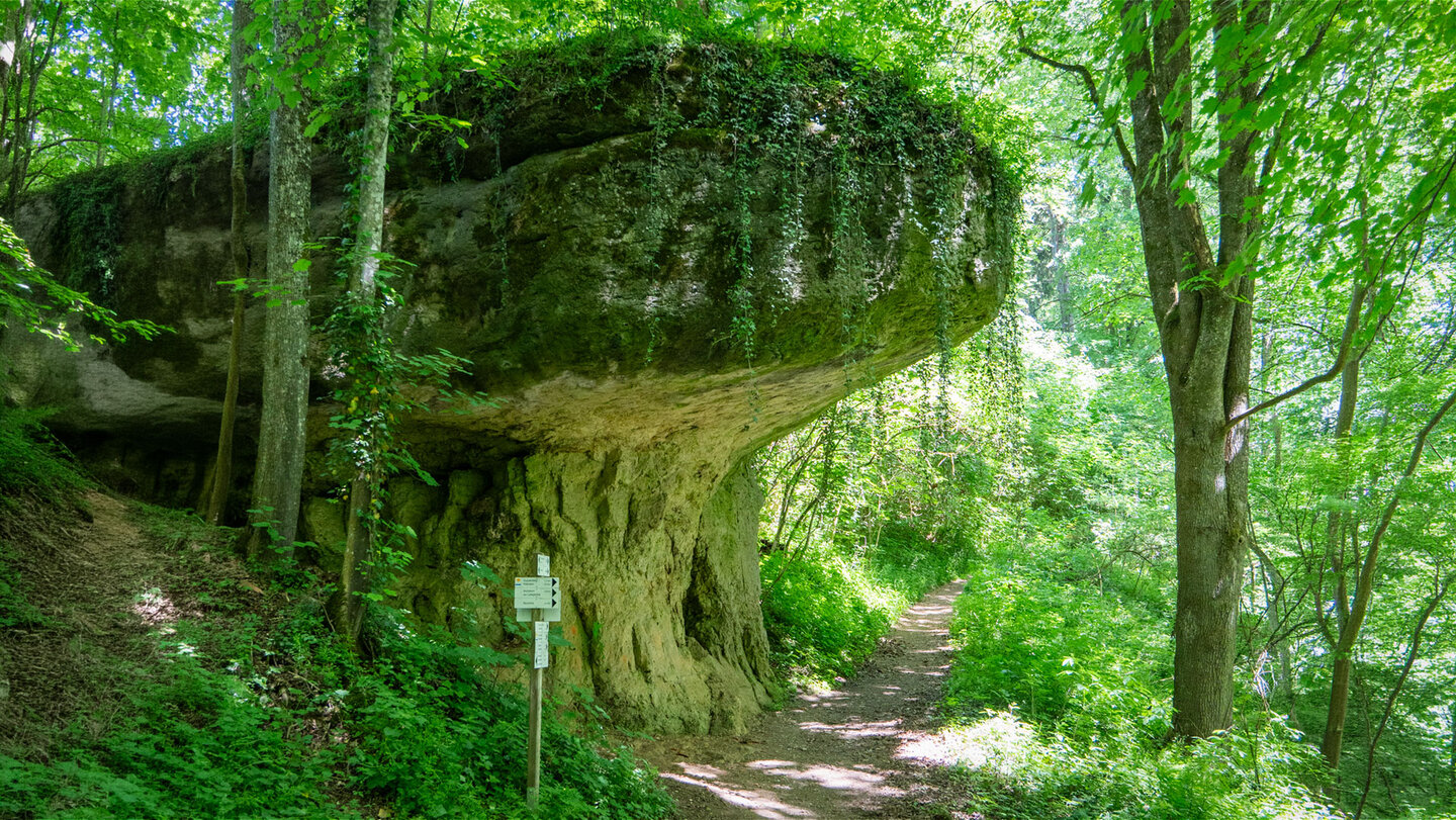 Ein Pilzfelsen erhebt sich als bizarre Felsformation am Panoramaweg.