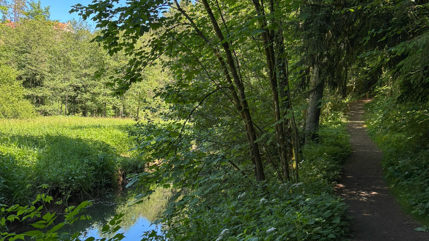 Idyllischer Wanderpfad entlang des Ailsbachs im Ailsbachtal