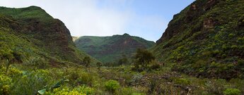 Blick in den Barranco de Guayadeque auf Gran Canaria