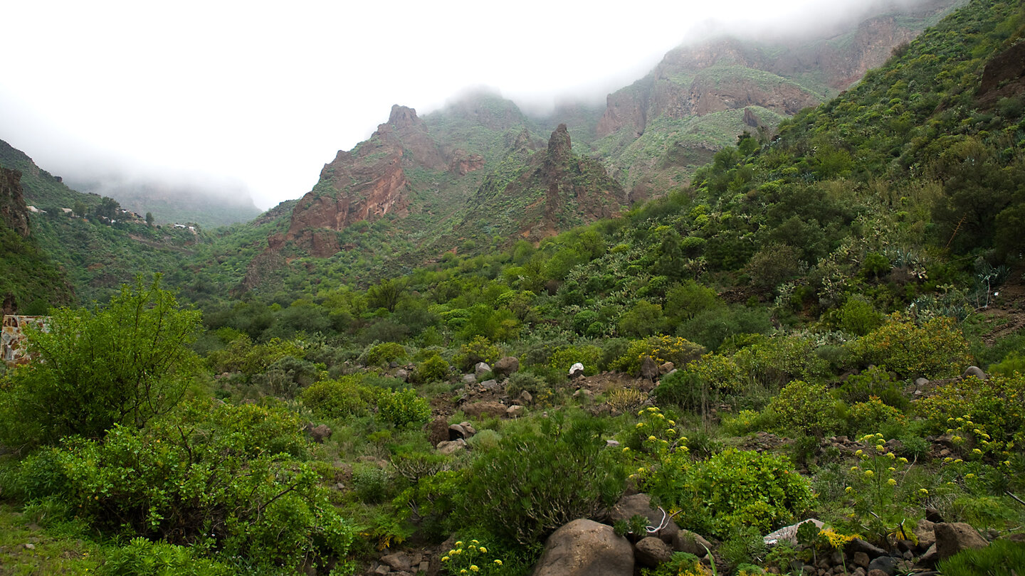 die wolkenverhangene Berglandschaft am Barranco de Guayadeque auf Gran Canaria