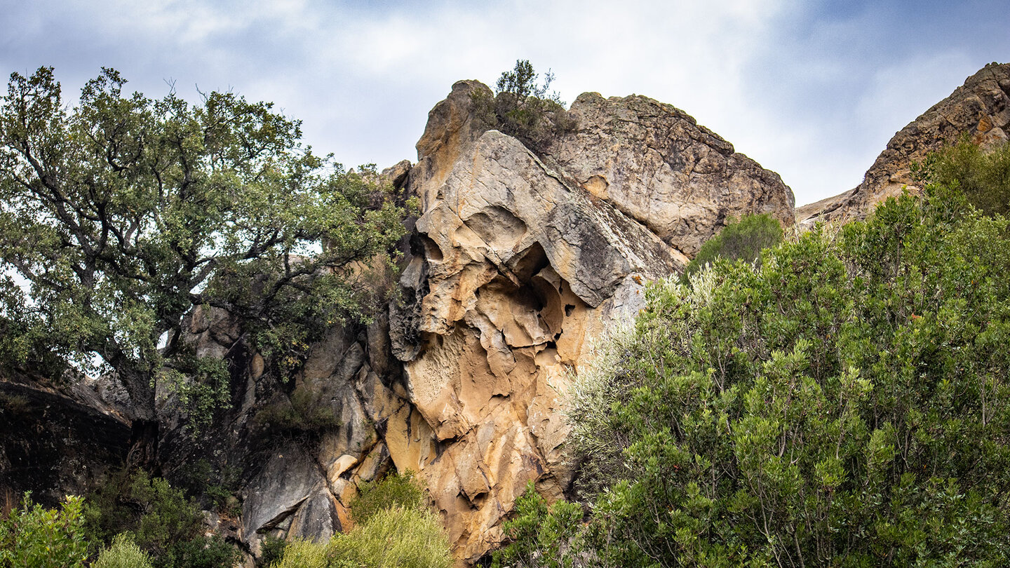 Kalkfelsen im Parque Natural Los Alcornocales
