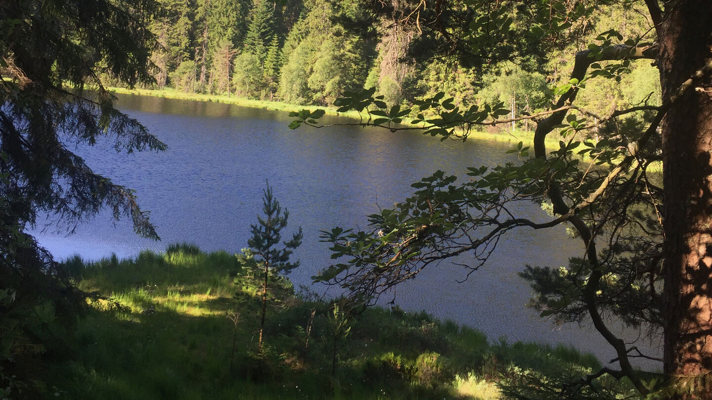 der Herrenwieser Karsee