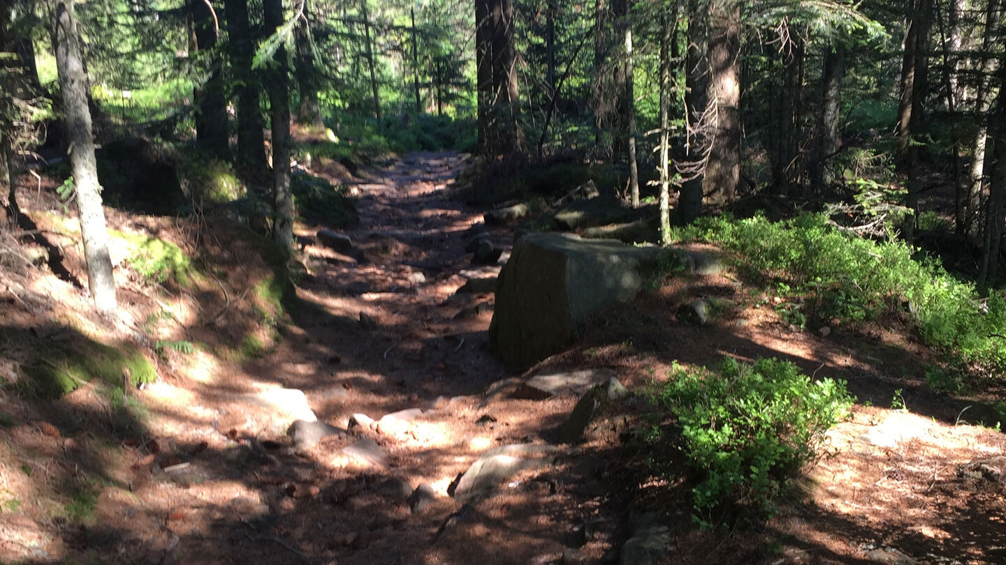 Wanderpfad zum Herrenwieser See