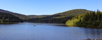 Blick über die Schwarzenbachtalsperre