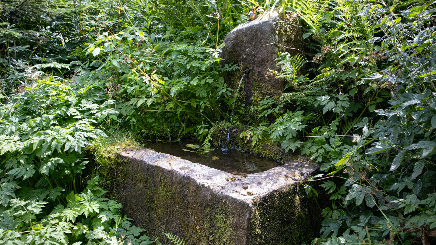 alter Brunnen bei der Wiesenhütte im Tonbachtal alter Brunnen bei der Wiesenhütte im Tonbachtal