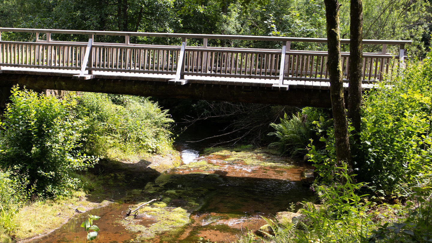 die Wanderung führt auf zahlreichen Brücken über den Tonbach die Wanderung führt auf zahlreichen Brücken über den Tonbach