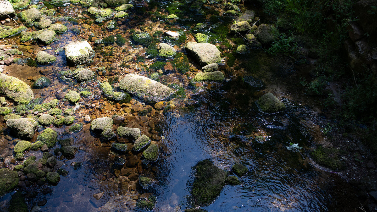 das klare Wasser des Tonbaches das klare Wasser des Tonbaches