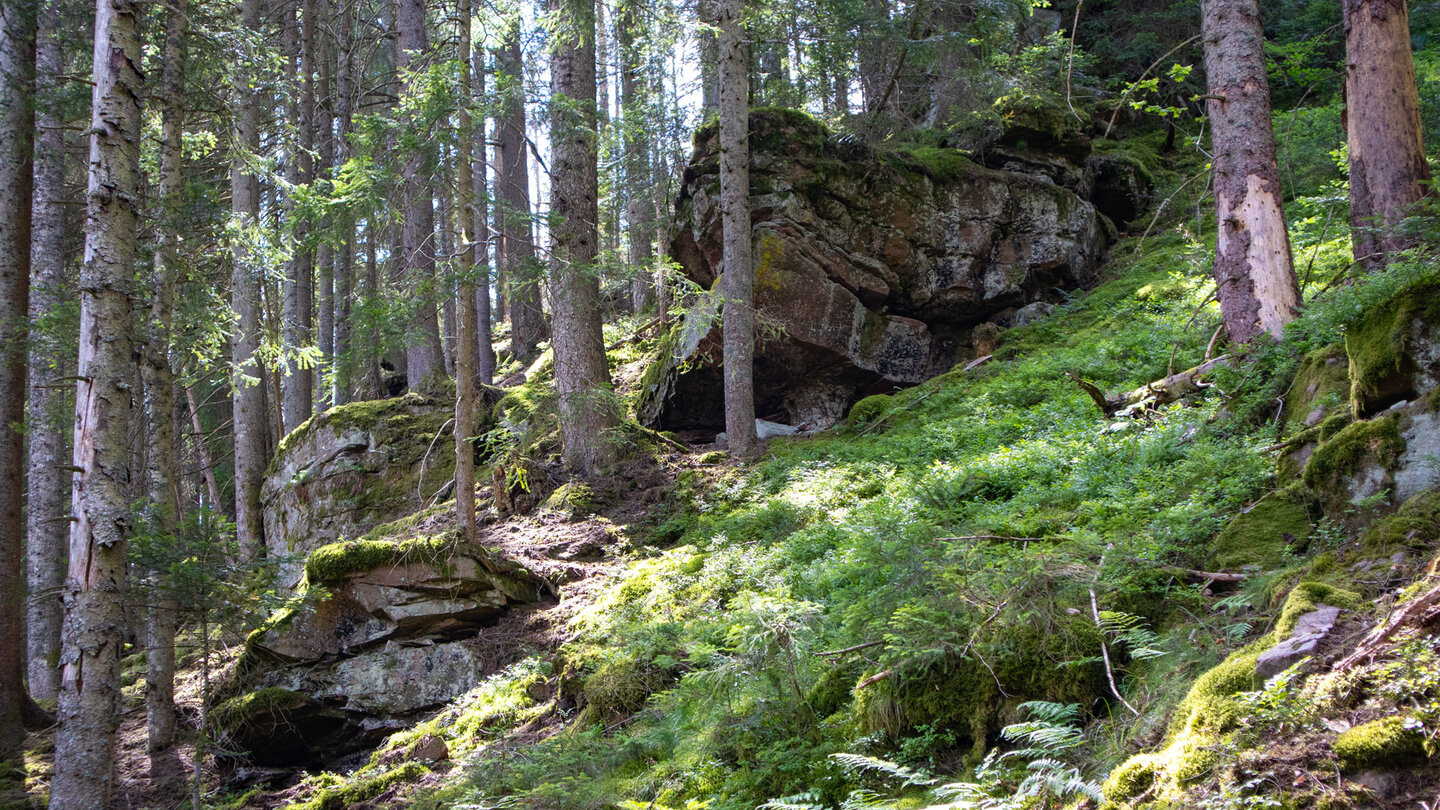 eindrucksvolle Felsformationen auf der Baiersbronner Holzmachertour eindrucksvolle Felsformationen auf der Baiersbronner Holzmachertour