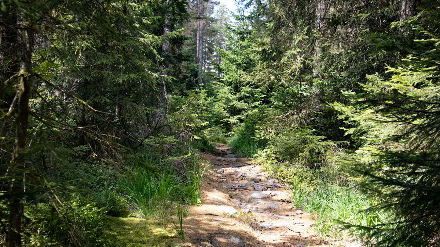 Wanderweg auf der Hochebene Kleemiss Wanderweg auf der Hochebene Kleemiss