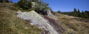 Felsformationen säumen den Emil-Thoma-Weg beim Abstieg zum Feldsee