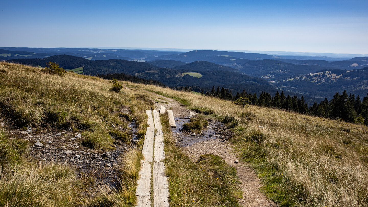 Holzbohlen helfen den Wandernden trockenen Fußes über das Quellgebiet des Seebachs zu gelangen