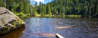 der Glaswaldsee im Schwarzwald