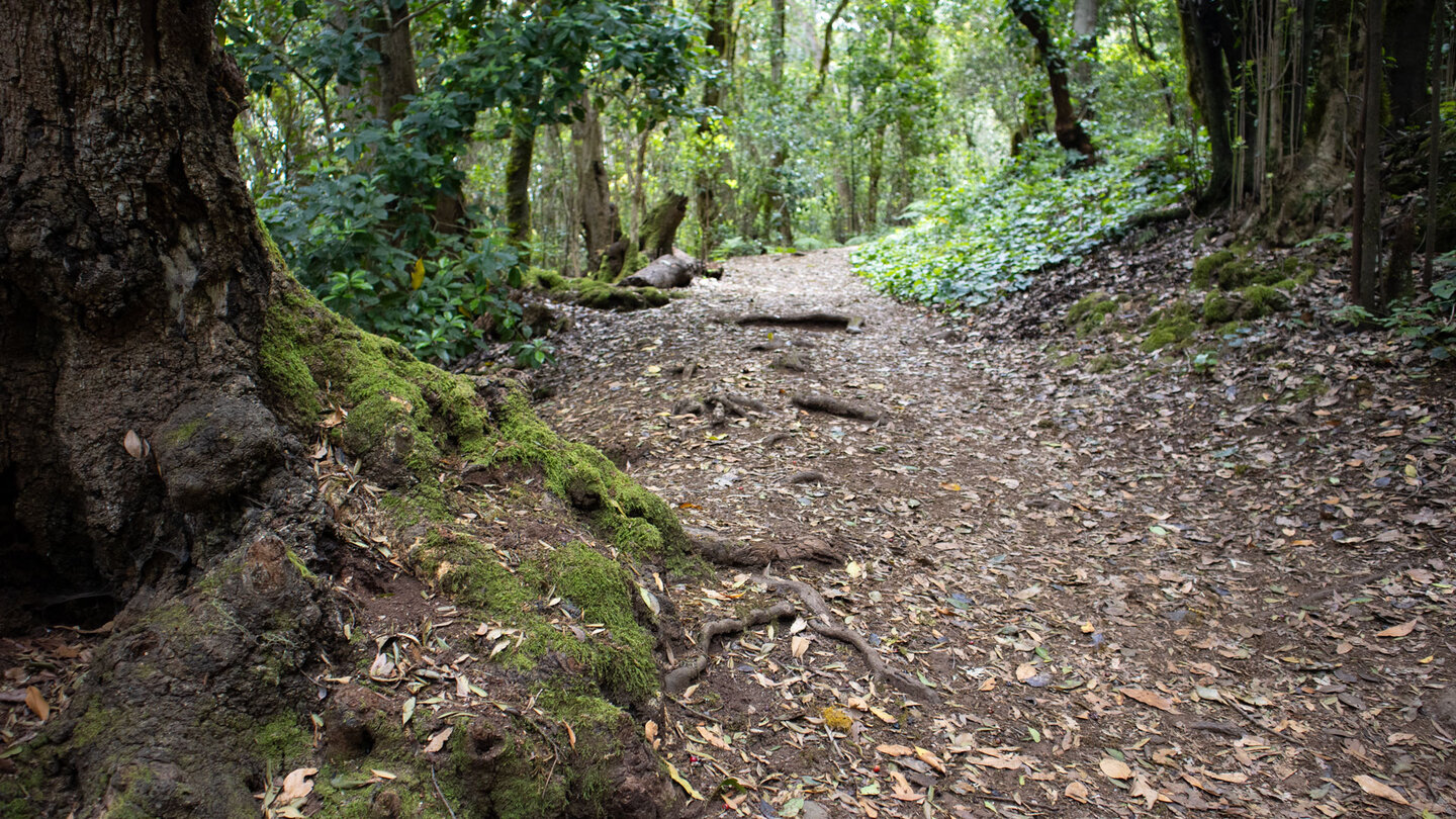 Wanderweg Ruta 2 – Ermita de Lourdes Wanderweg Ruta 2 – Ermita de Lourdes