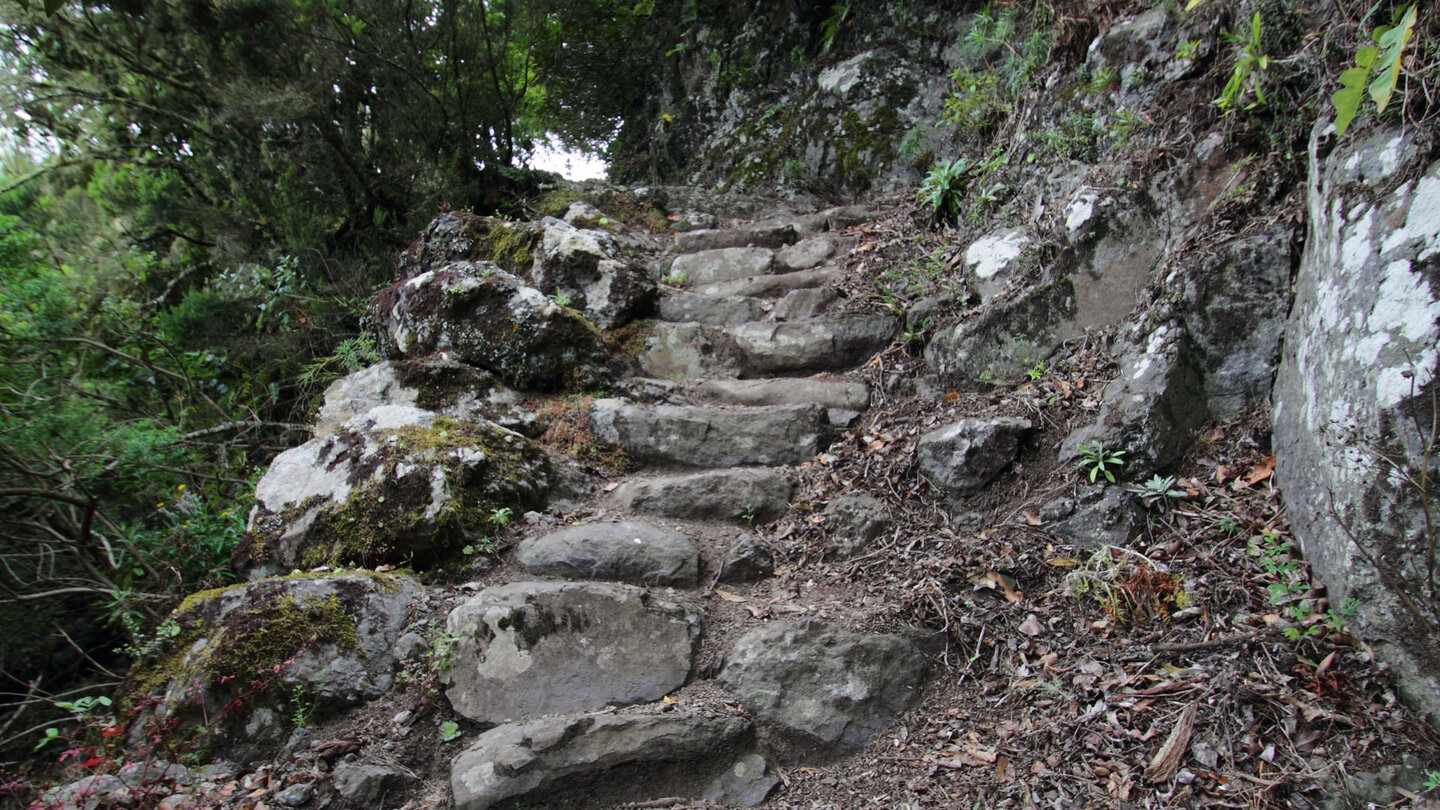 Abstiegspfad zum Wasserfall Abstiegspfad zum Wasserfall