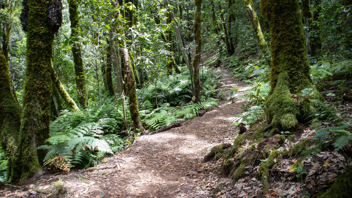 die Wanderung verläuft parallel zum Bauchlauf durch die Cedro-Schlucht die Wanderung verläuft parallel zum Bauchlauf durch die Cedro-Schlucht