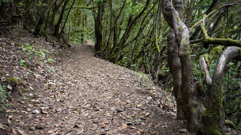 Wanderung entlang des Wegs Ruta 2 Ermita de Lourdes