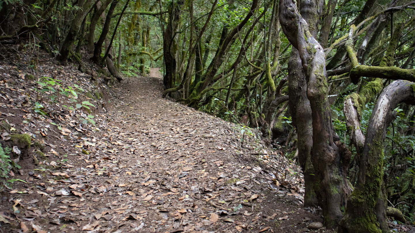 Wanderung entlang des Wegs Ruta 2 Ermita de Lourdes Wanderung entlang des Wegs Ruta 2 Ermita de Lourdes