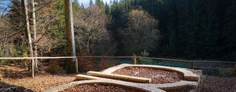 die Ruine der alten Glashütte Birklergrund